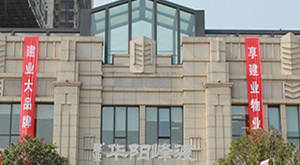 华阳峰渡 
